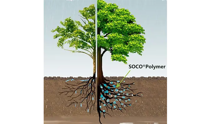 SOCO®Investigación y desarrollo de polímeros (I + D)