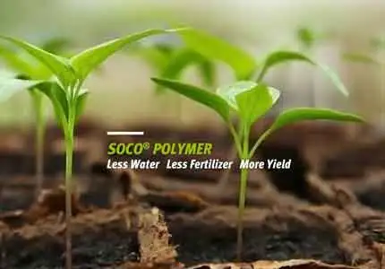 Estudio sobre el mecanismo de interacción de SAP y fertilizante y suelo
